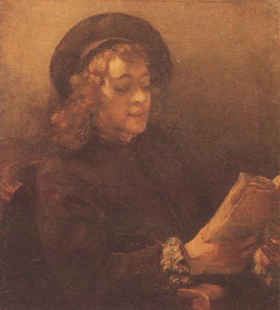 REMBRANDT Harmenszoon van Rijn Titus Reading (mk33)